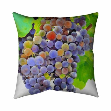 FONDO 26 x 26 in. Bunch of Grapes-Double Sided Print Indoor Pillow FO2778511